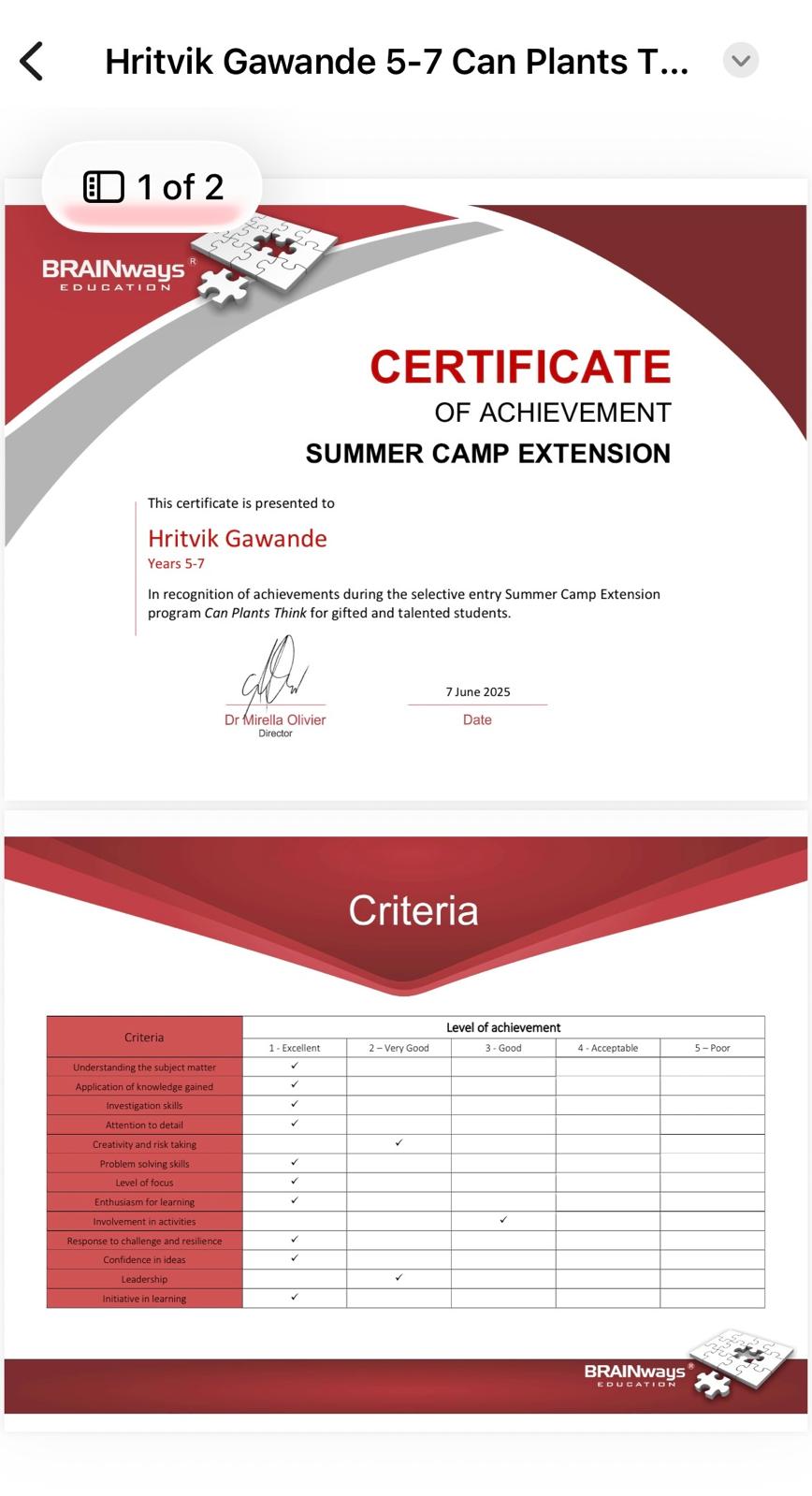 Summer Camp Certificate